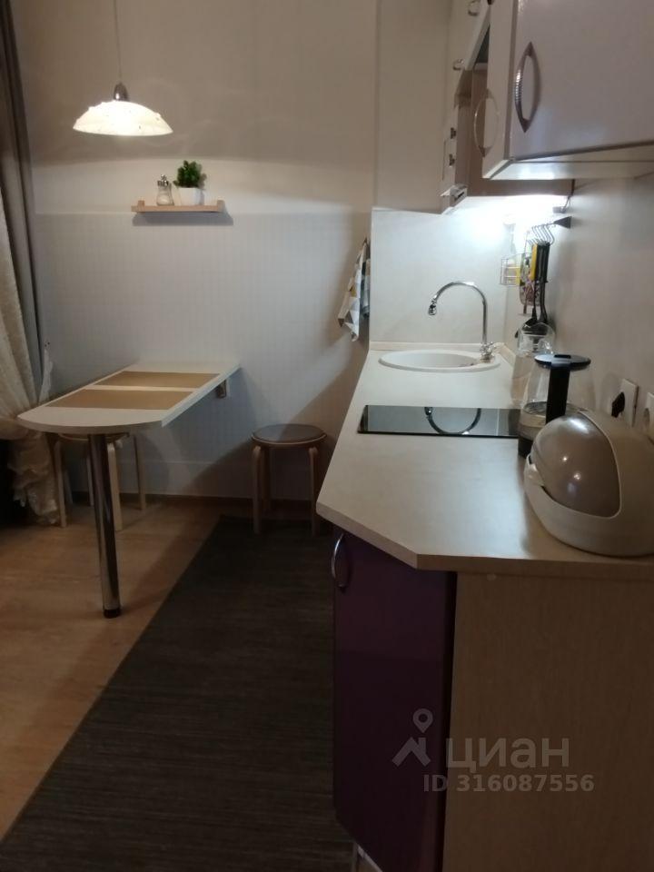 квартира г Санкт-Петербург пр-кт Энергетиков 11/2 Ленинградская область фото 14
