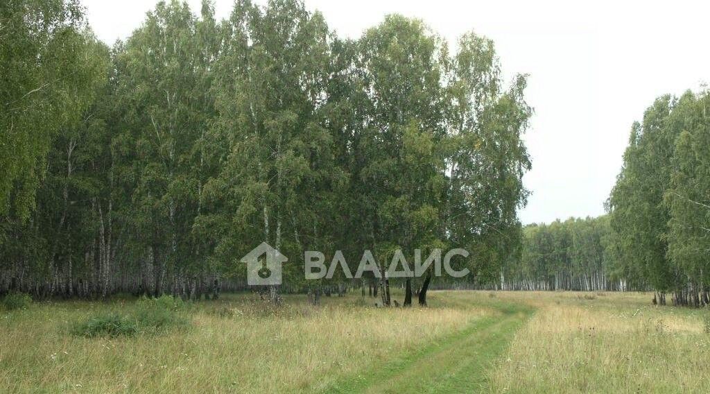 земля р-н Юрьев-Польский с Ополье Красносельское муниципальное образование фото 4