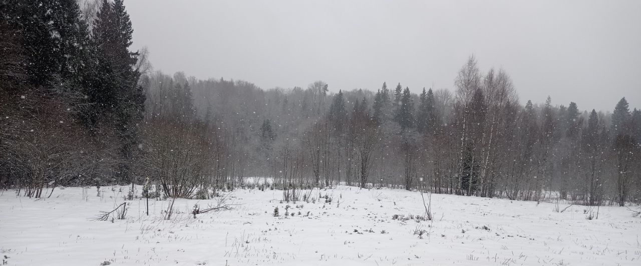 офис городской округ Клин д Ногово фото 3