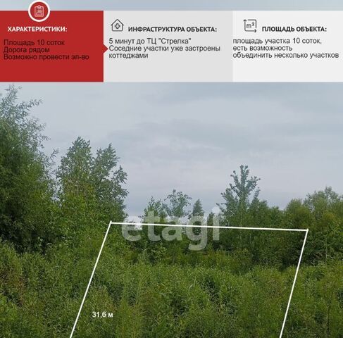 с Мирное фото