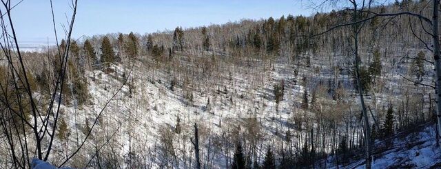 ул Центральная 50/1 фото