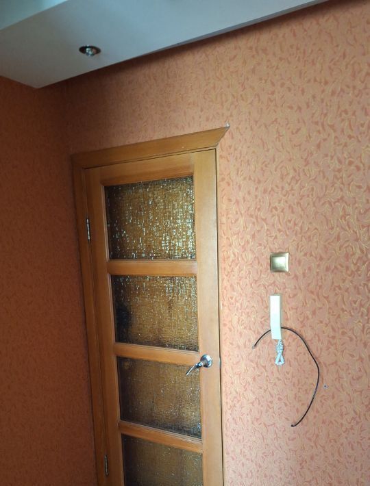 квартира г Барнаул р-н Ленинский ул Антона Петрова 256 фото 2
