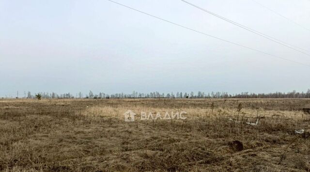 земля ул Садовая 2 фото земля ул Садовая 2 фото