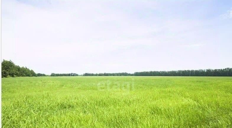 земля г Заречный фото 1