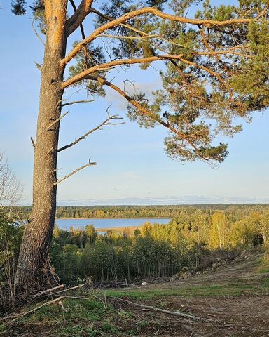 д Овраги Трасса Сортавала, 67 км, Петровское сельское поселение, Саперное фото