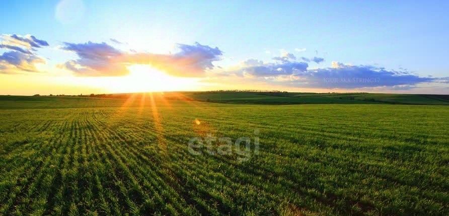 земля г Заречный фото 5
