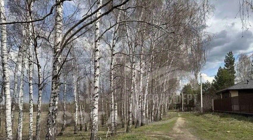 дом г Воронеж р-н Железнодорожный снт Никольское ул Студенческая 80 фото 17