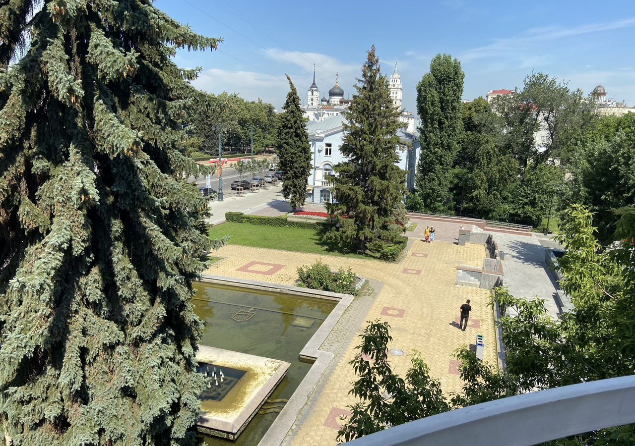офис г Воронеж р-н Центральный пр-кт Революции 29в фото 19