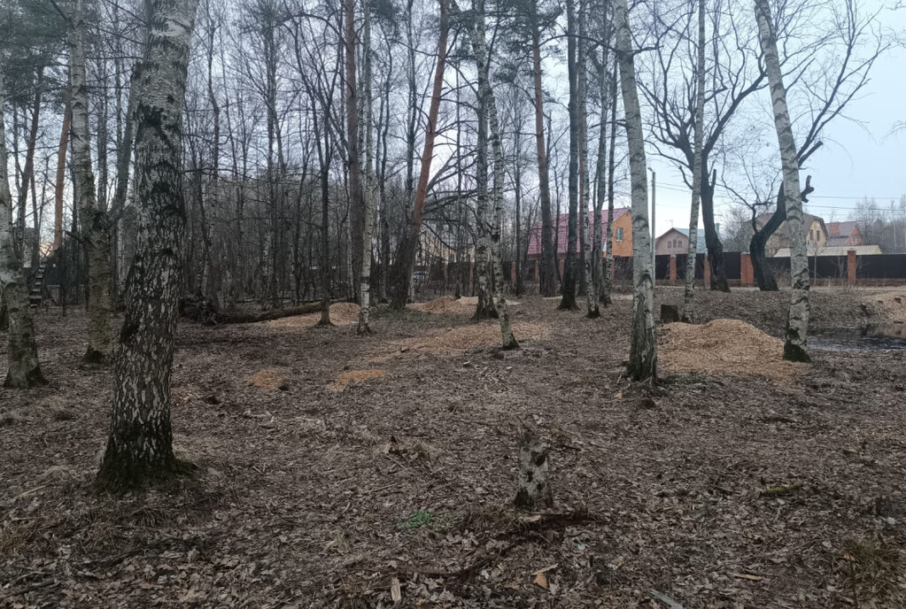 земля городской округ Богородский г Ногинск ул Плешакова фото 4