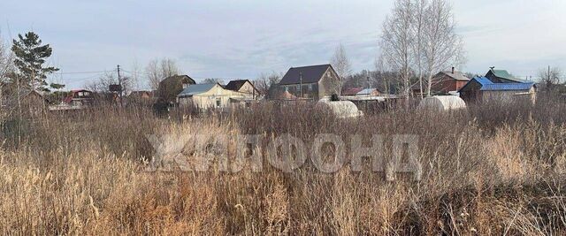 Толмачевское городское поселение, Мечта СНТ фото