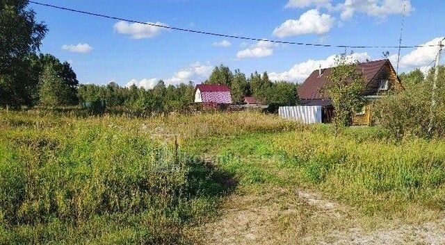 муниципальное образование, 80, Андреевское фото