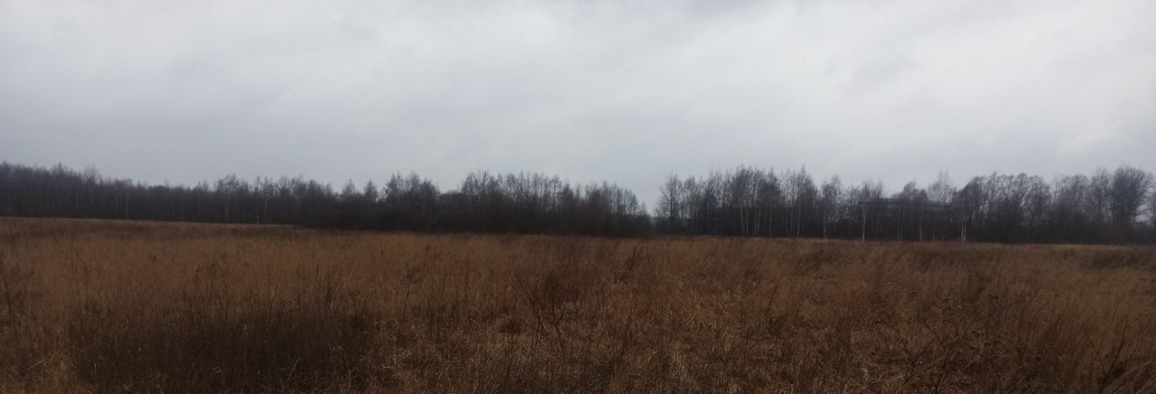офис г Шатура фото 2