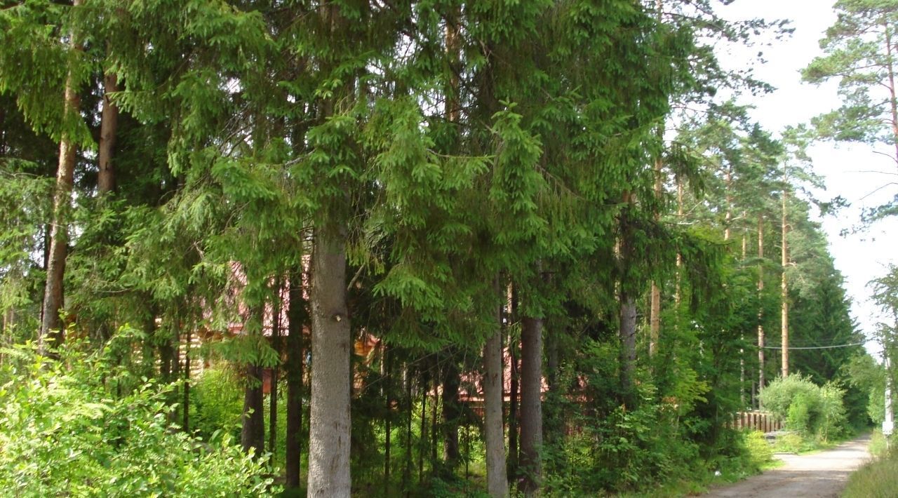 земля городской округ Павловский Посад д Дальняя снт Малахит фото 3