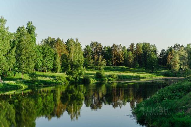 ул Нововестинская р-н Пушкинский Ленинградская область фото