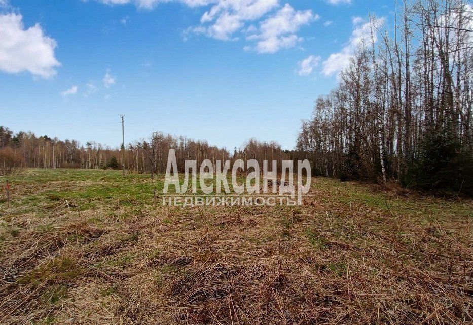 земля р-н Выборгский г Выборг Трасса Скандинавия, 88 км, Советское городское поселение, пос. при железнодорожной станции Матросово фото 4