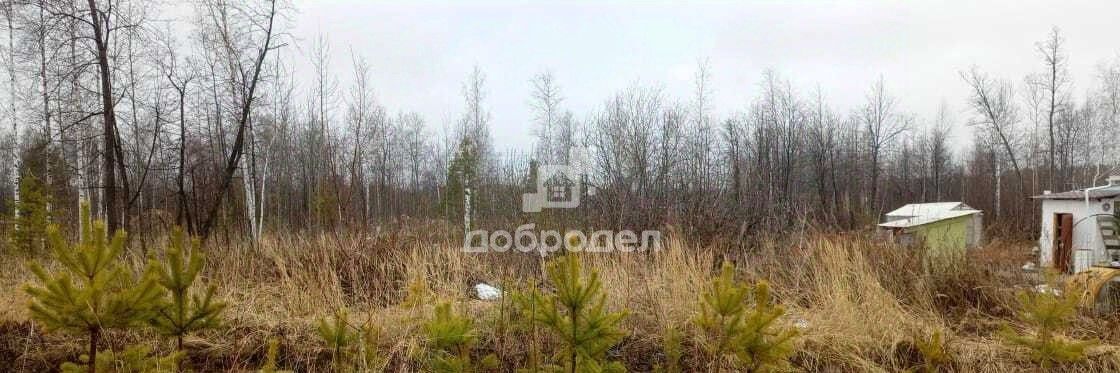 земля г Березовский снт Дачник ул Парковая фото 4