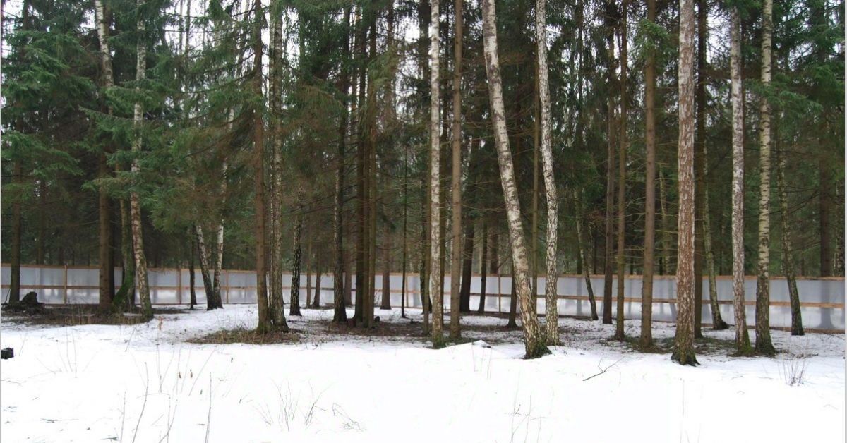 земля г Красногорск Вымпел кп, Нахабино фото 11