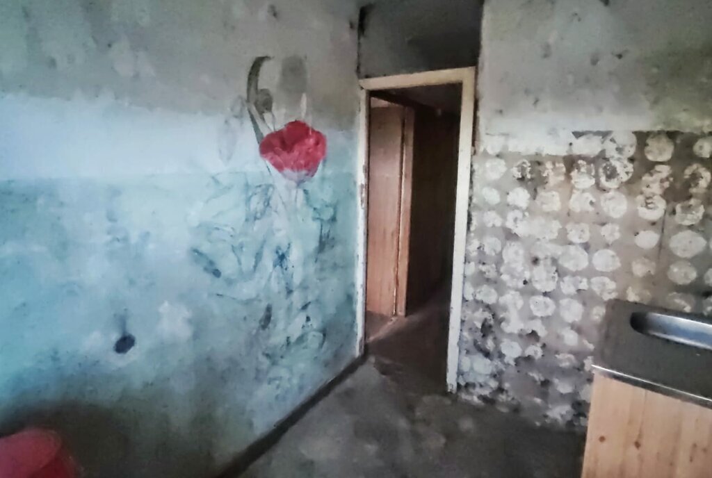 квартира г Ставрополь р-н Промышленный ул Ленина 470 фото 4