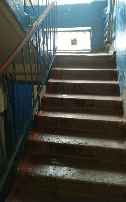 квартира г Красноярск ул Академика Киренского 7 фото 25
