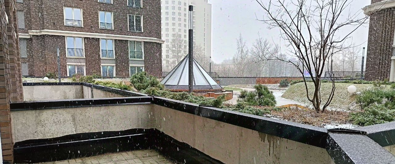 квартира г Санкт-Петербург метро Новочеркасская пр-кт Шаумяна 14 ЖК Alter округ Большая Охта фото 21