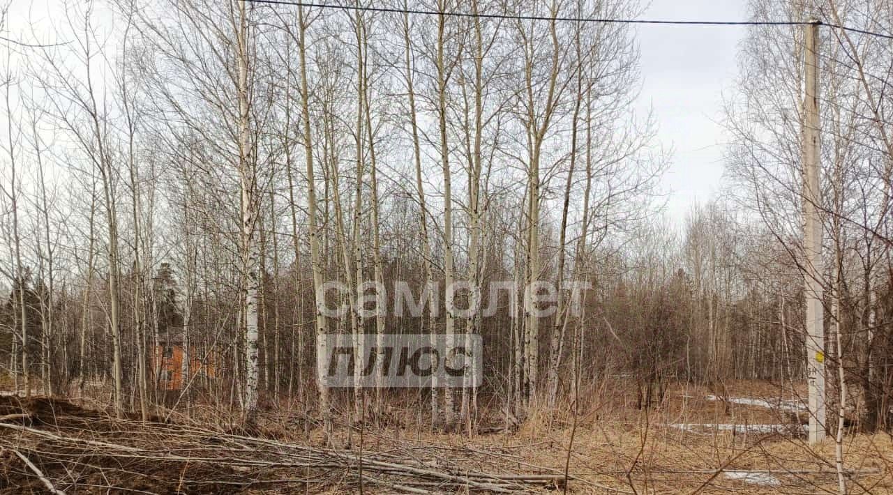 земля г Томск п Родионово ул Магистральная 31 р-н Советский фото 3