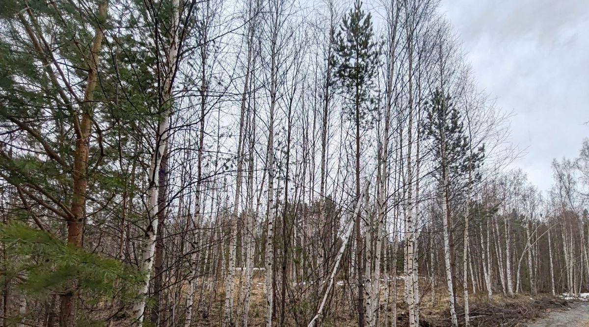 земля г Дегтярск Садовые участки фото 6