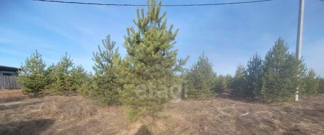 р-н Ленинский ул Нежинская фото