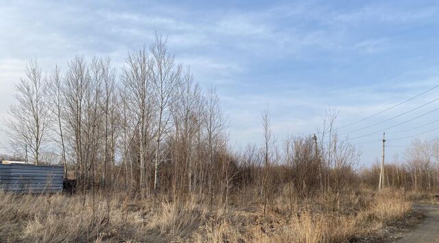 пер Дорожный фото