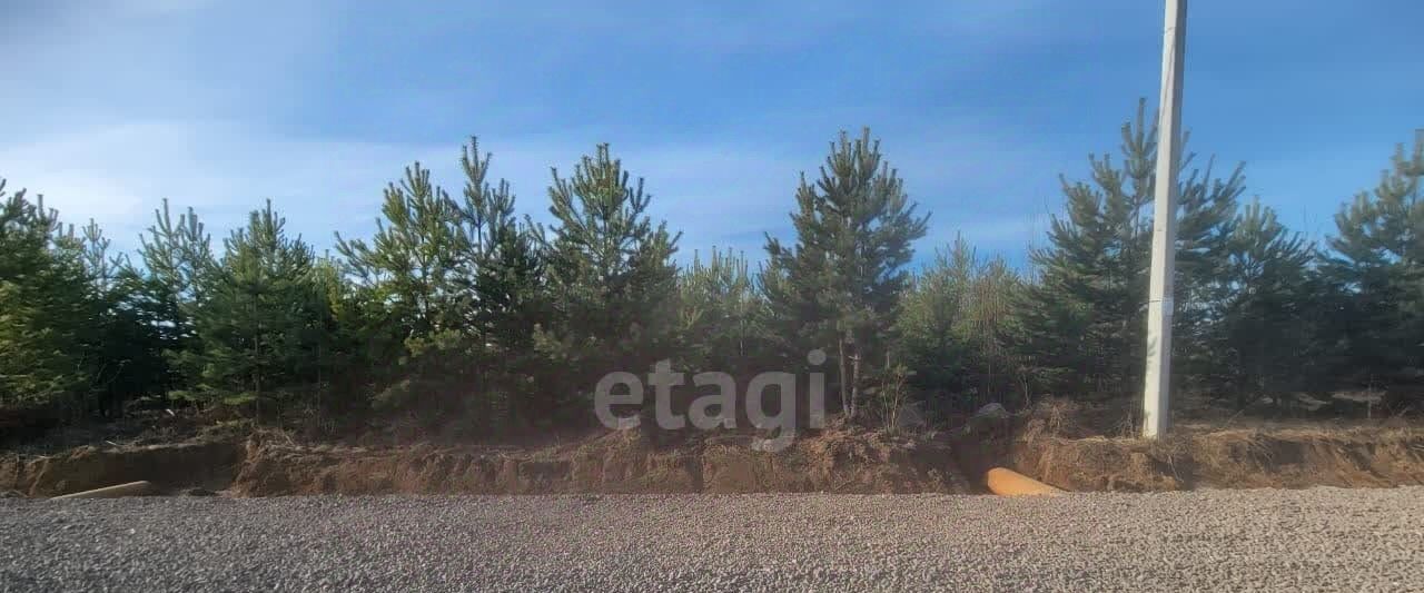земля г Нижний Тагил р-н Ленинский ул Нежинская фото 12