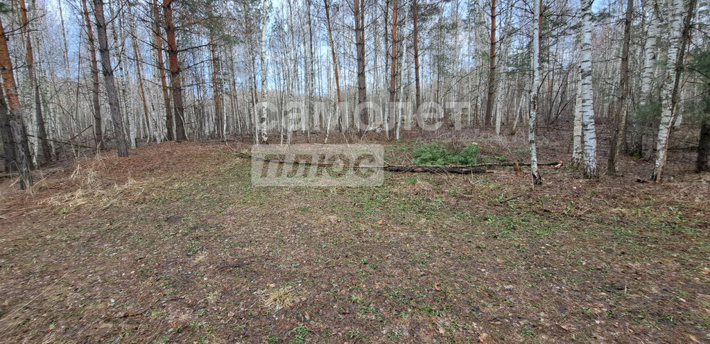 земля г Пенза р-н Железнодорожный СДТ Дизелист фото 12