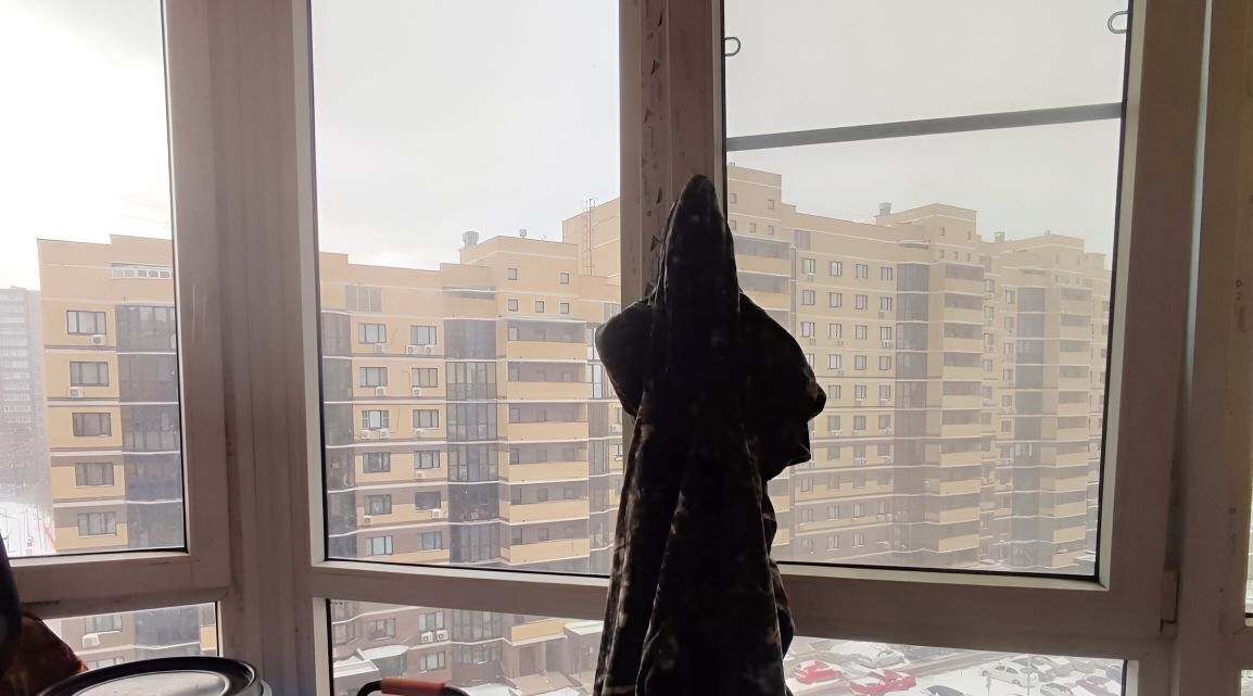 квартира г Москва п Сосенское п Коммунарка ул Сосенский Стан 1 метро Коммунарка фото 4