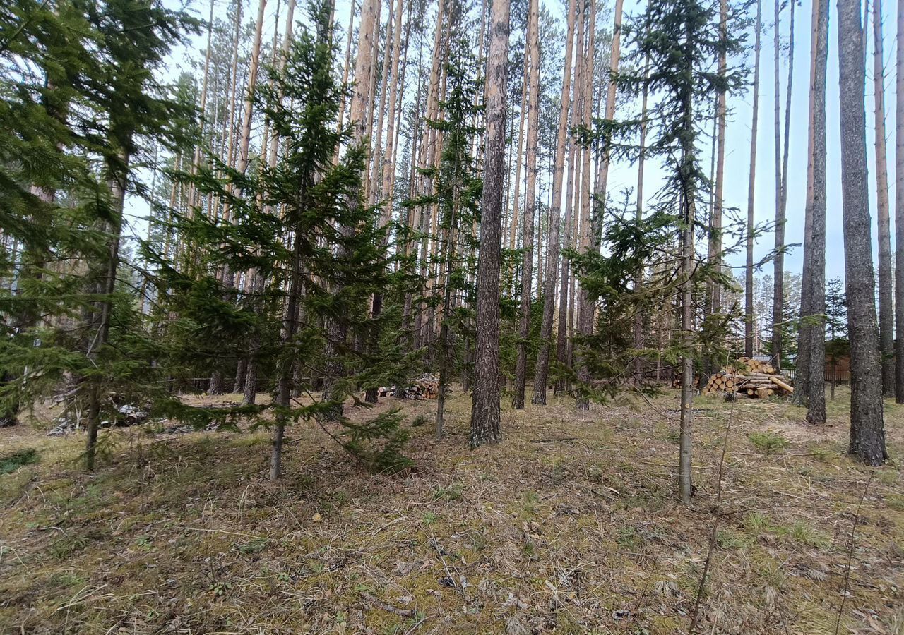 земля г Дивногорск с Овсянка п Манский снт Радужный фото 4