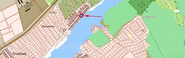 р-н Слободской д Пантелеевы Шиховское с пос фото