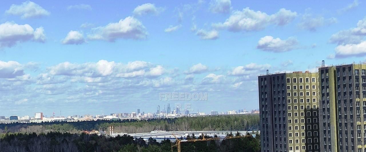 квартира г Одинцово ул Белорусская 3 Внуково, Аэропорт фото 21