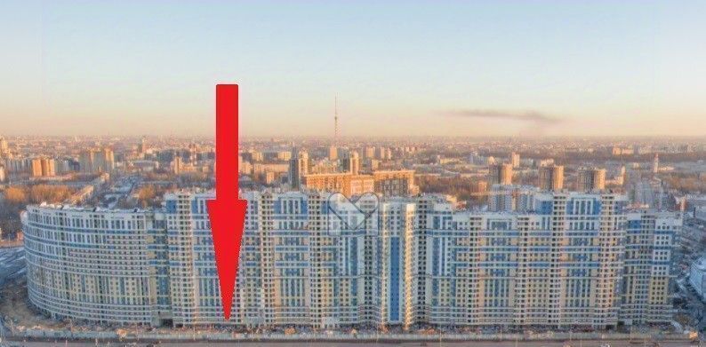 свободного назначения г Санкт-Петербург метро Пионерская пр-кт Богатырский 2а фото 2