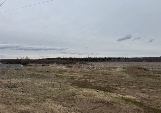 с Николо-Березовка ул Чкалова 72 Николо-Берёзовский сельсовет фото