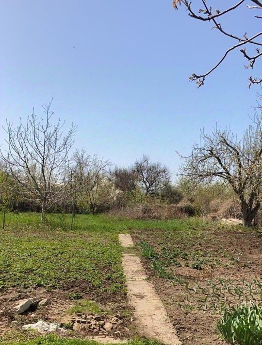 земля г Саратов р-н Ленинский снт Мезон фото 1