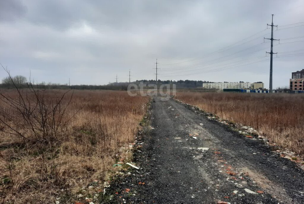 земля р-н Зеленоградский г Зеленоградск п Вишневое фото 3
