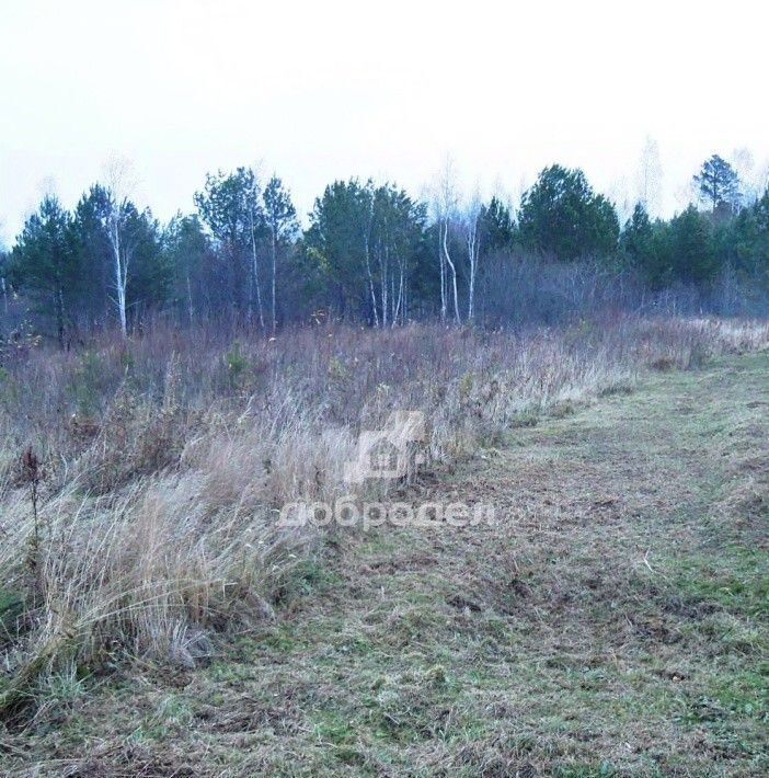 земля г Березовский п Лосиный фото 2