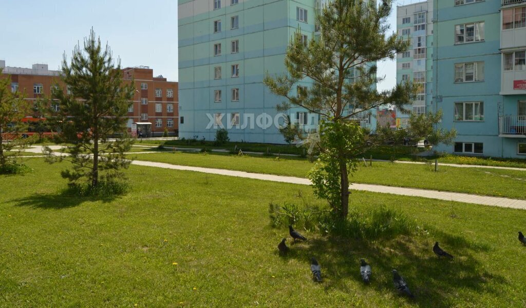 квартира г Новосибирск р-н Октябрьский Золотая Нива ул Виталия Потылицына 1 Плющихинский фото 18