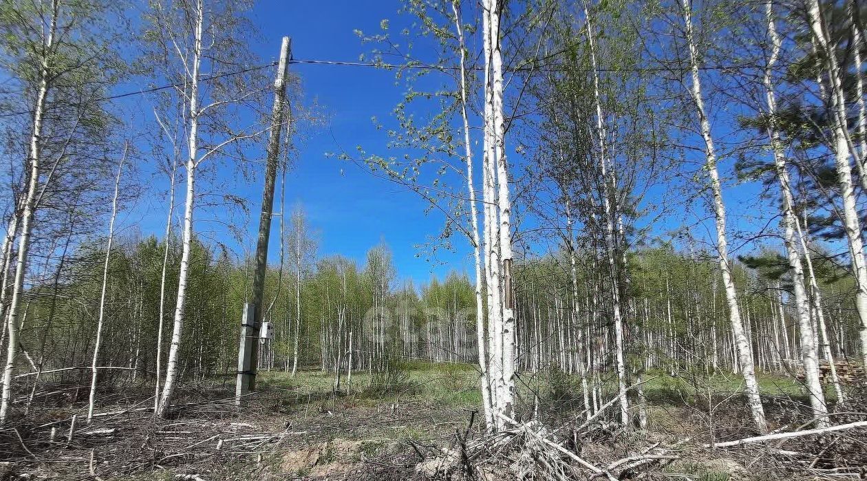 земля г Ревда с Кунгурка ул Надежды фото 5