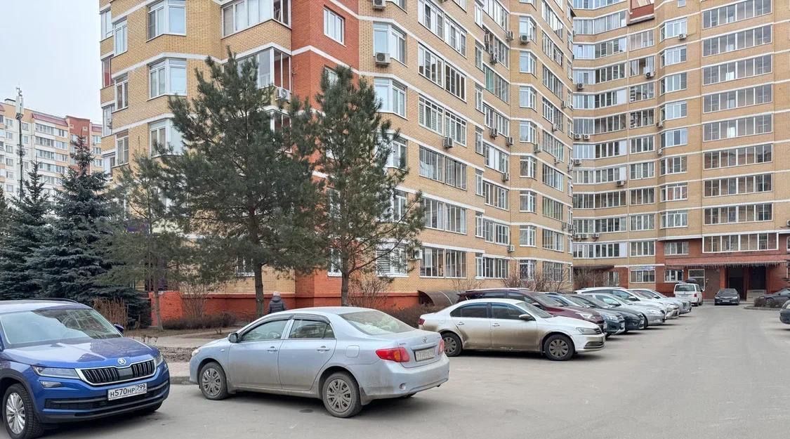 квартира г Москва п Рязановское п Знамя Октября мкр Родники 3 метро Силикатная фото 22