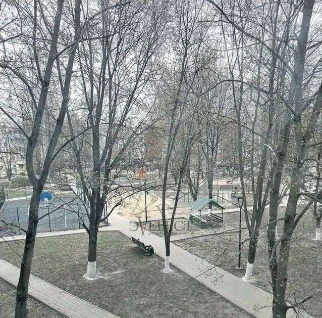 квартира г Старый Оскол Интернациональный микрорайон 38 фото 8