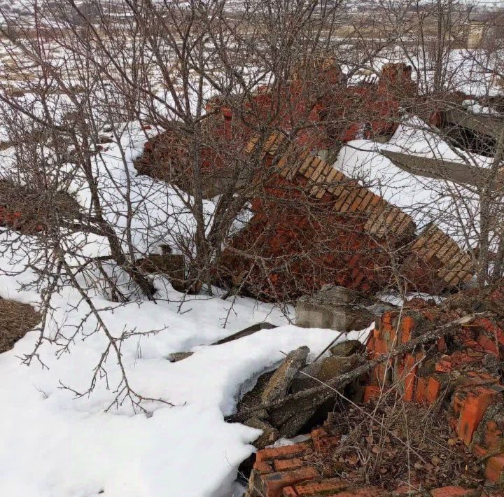 земля г Саранск с Грибоедово ул Советская фото 12