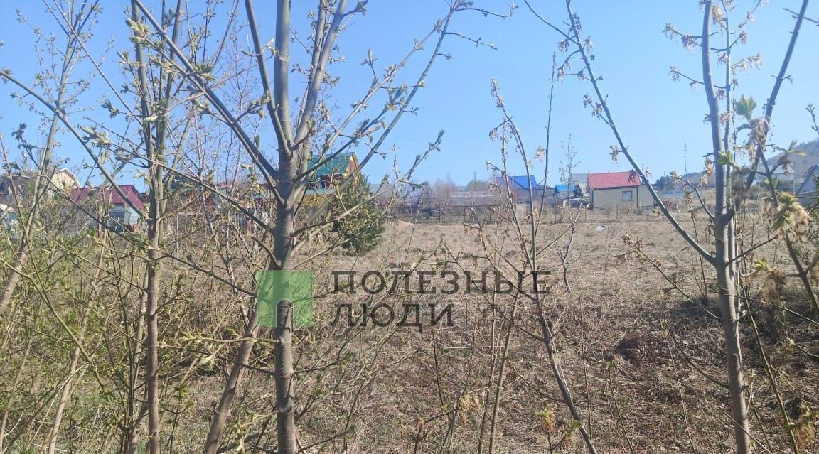 земля г Белокуриха ул Молодежная фото 7