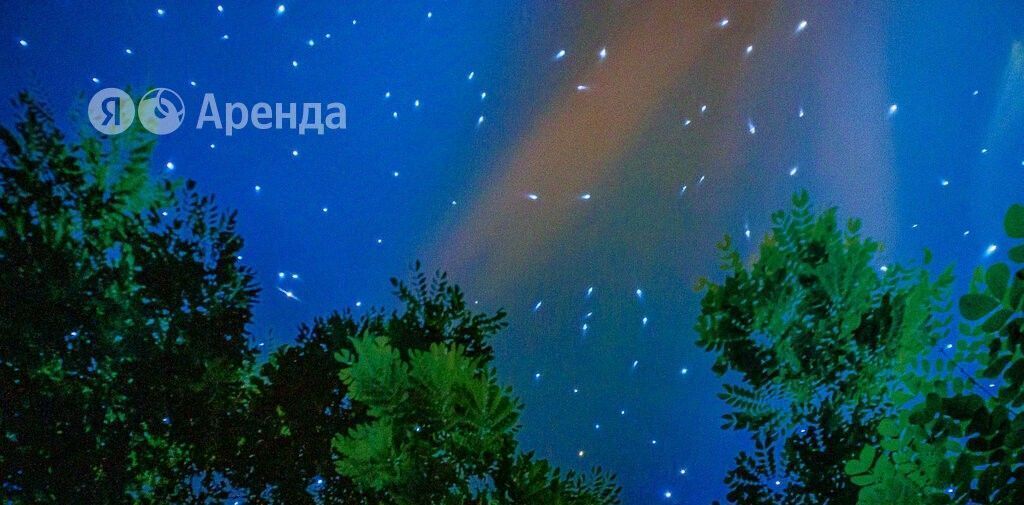 квартира г Реутов пр-кт Юбилейный 68 Новокосино фото 19