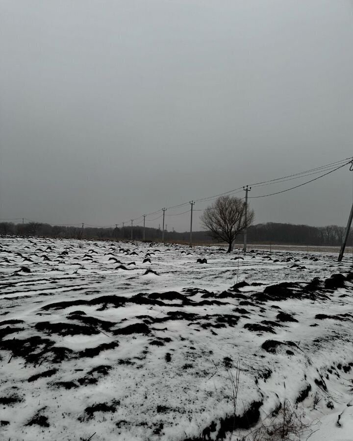 земля г Уссурийск мкр-н Радужный фото 5