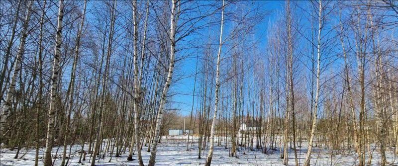 земля р-н Всеволожский г Всеволожск ул Румболовская Ладожская фото 1