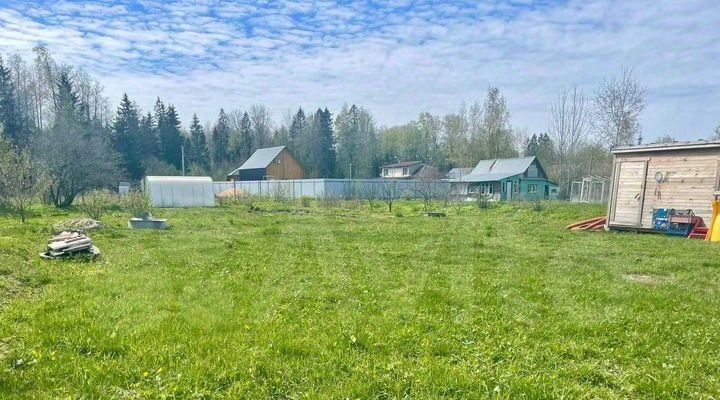 земля р-н Кингисеппский г Кингисепп снт Ромашка Опольевское с/пос, ул. Главная, 11, Тикопись садоводческий массив фото 14