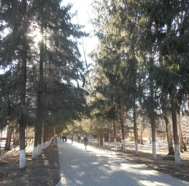 квартира г Курган ул Красина 56 фото 31